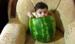 善堂网红吃瓜视频大全集