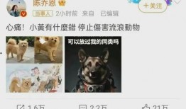 二狗爆料谢航视频大全最新,谢航视频大全背后的惊人真相